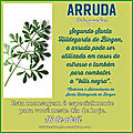 Mensagem do dia 16 de abril: arruda