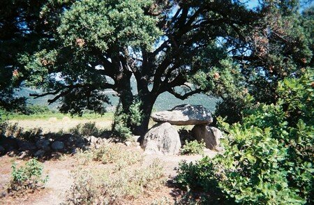 dolmendetrillataupelscc5