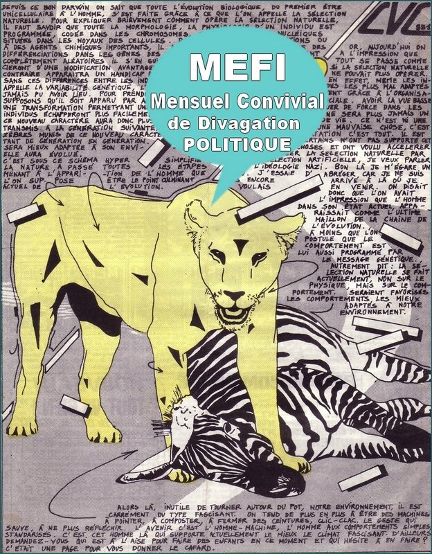 MEFI 8 DOS