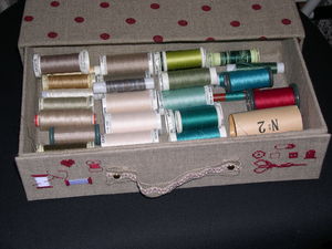 DSCN6028