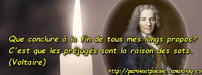 Prejuges Raison Voltaire Citation In Poeme Sur La Loi Nouvelle Vois Et Viens