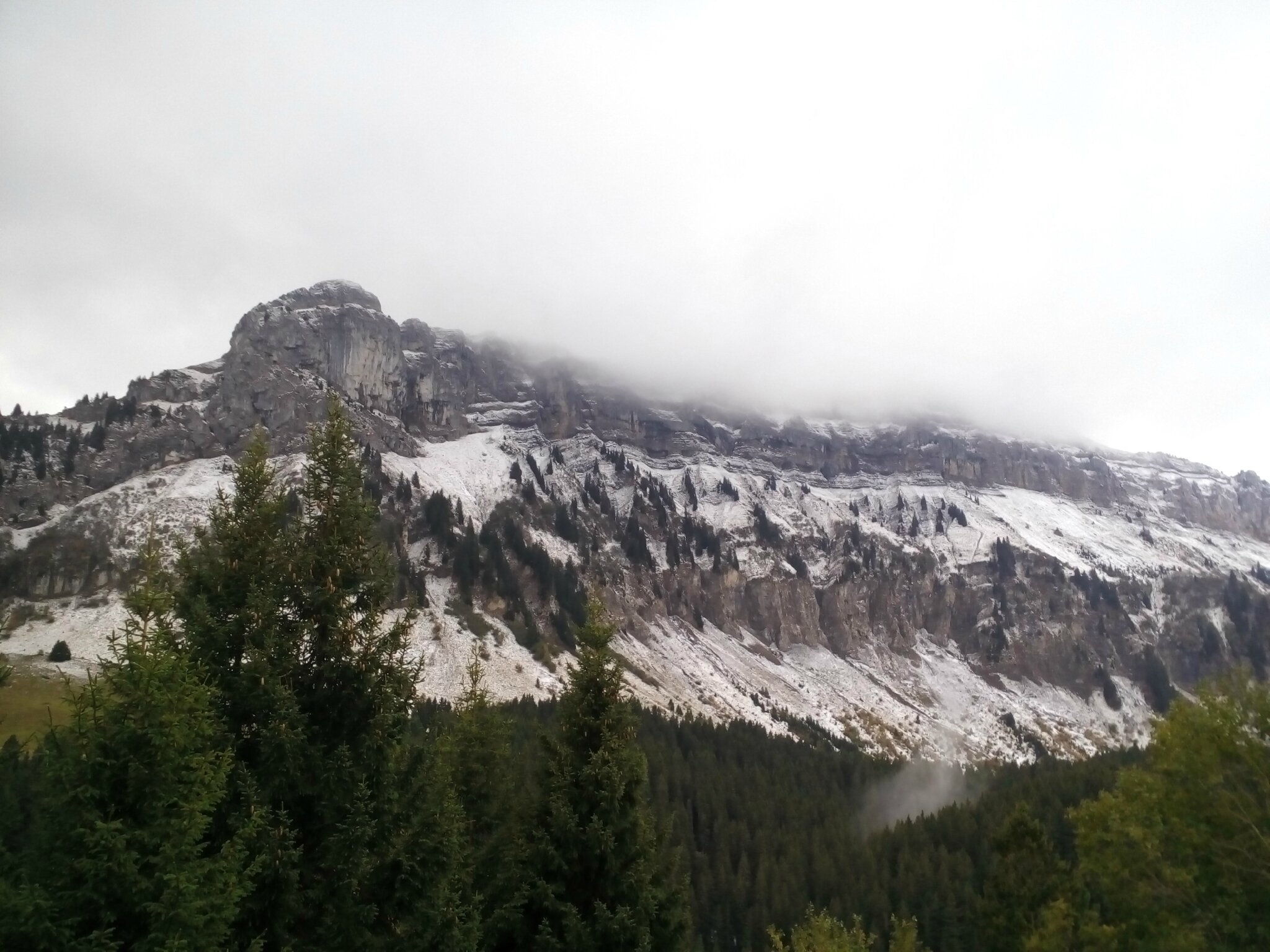 Col de Sur Cou (départ Station Orange/La Roche s/Foron 1167m, Arrivée Col de Sur Cou 1609m