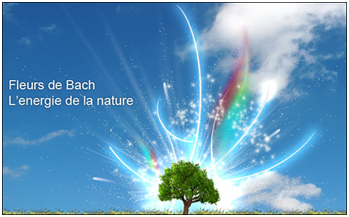 La guérison vibratoire des fleurs de Bach