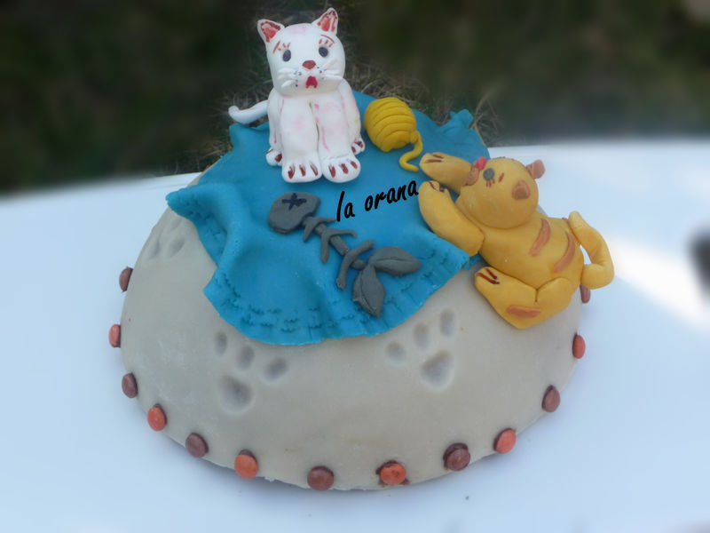 Gateau Chats Photo De Gateaux Rigolos Et Gateaux 2d 3d Mes Petits Gateaux Rigolos