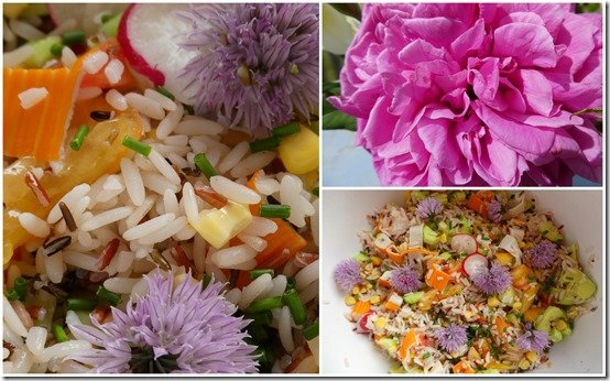 salade de riz légumes de mai
