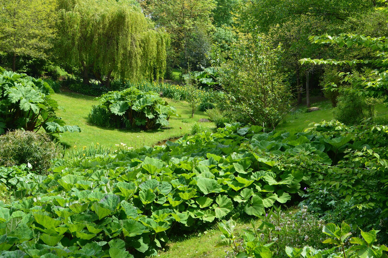 2019-05-18-jardin (39)