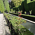 DSC01229