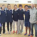 00475) BADMINTON district 29 janvier 2014