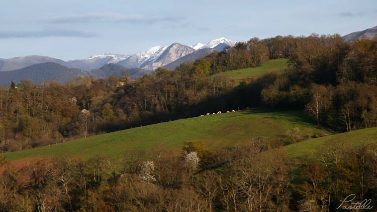 Pyrénéessoir_IMG_0793