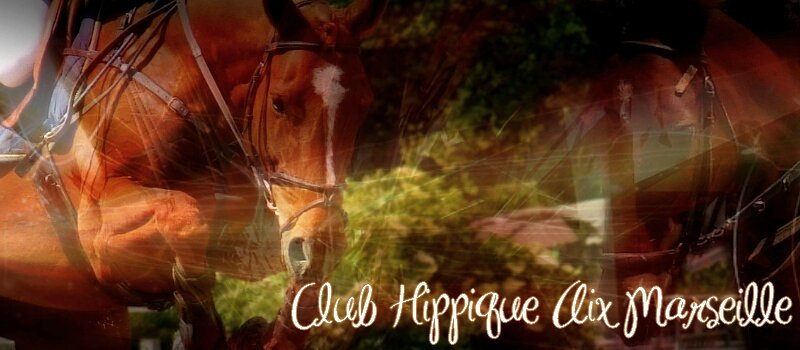 LE CLUB HIPPIQUE D'AIX MARSEILLE - LE BLOG DE CHEVALGO