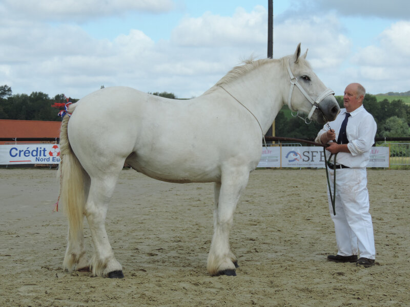 Impériale 5 - 5 Septembre 2020 - National Boulonnais - Samer (62) - 4e (2 ans - Grande Taille (1m64 et plus))