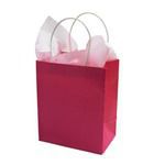 Gift Bag --- Image by © Royalty-Free/Corbis
