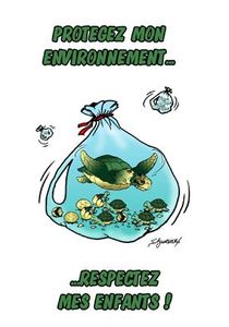 Tortues