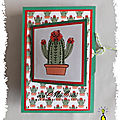 ART 2019 10 cactus NIDA 1