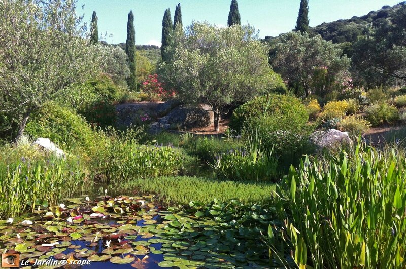 Parc botanique de Saleccia 