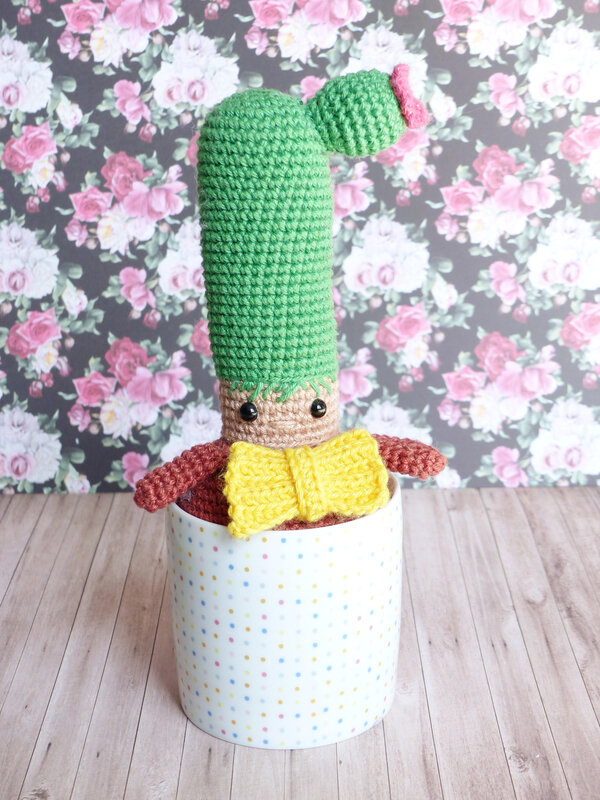 cactus-crochet-livre-caro-tricote-my-sweet-home-editions-eyrolles-01