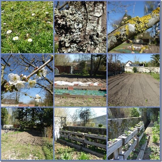 jardin 30 mars 20191