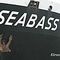 DSC09506