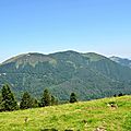 le Pic Soulaing, 1589m, depuis les prairies.