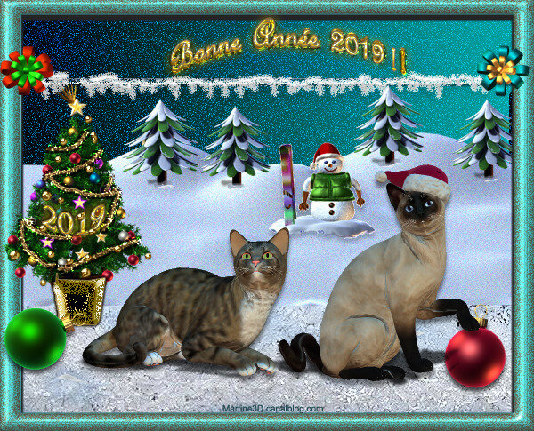 2019-carte-chats-boules noel