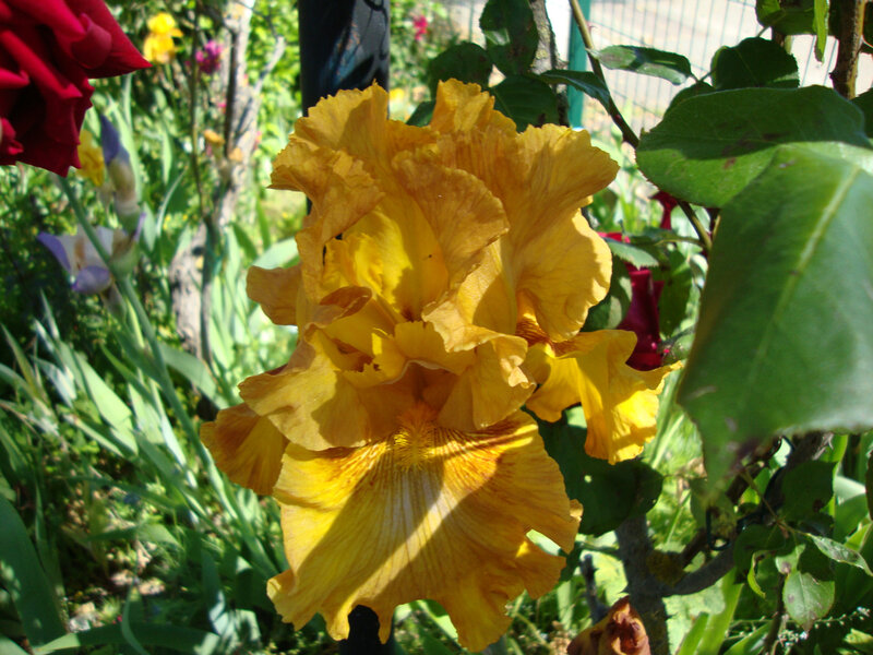 DSC06406