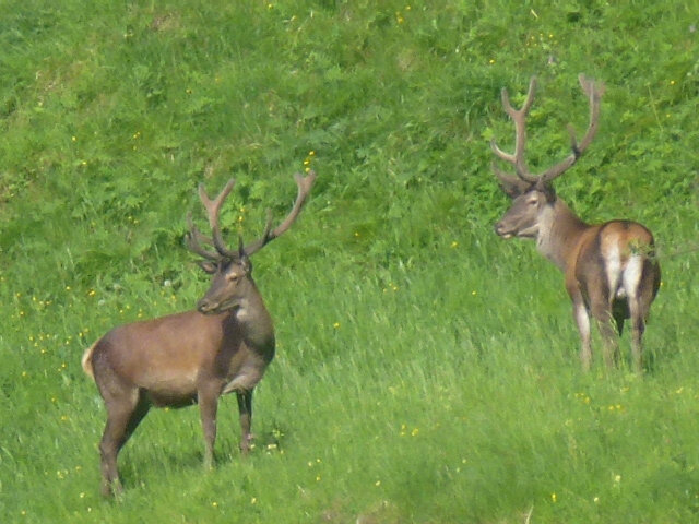 P1270745