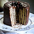 Gâteau roulé vertical, striped cake, au chocolat et noisette