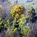 P1080212 - Copie