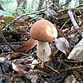 DSCN2171