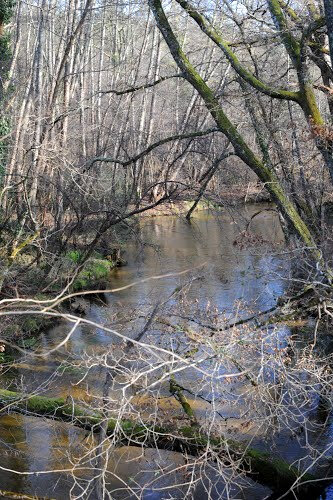 Photo-ruisseau-escource-landesjpg
