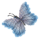 papillon63