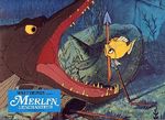 merlin_photo_1984_08