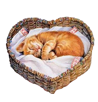 saint valentin