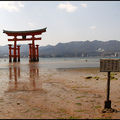 488-Miyagima-12