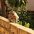 IMG_2579