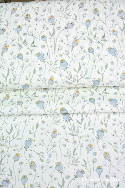 pavot fond blanc