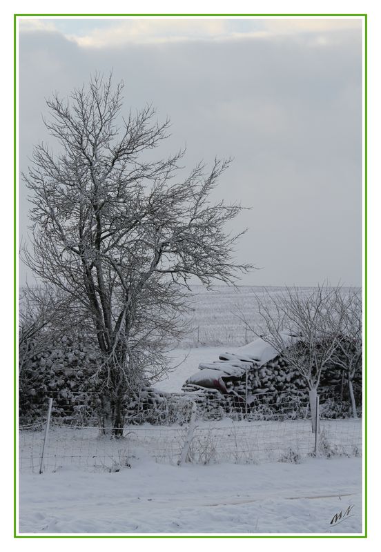 Neige_2010_12_09_1482_GF