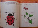 Mon grand cahier Montessori de dÃ©couverte du monde (1)