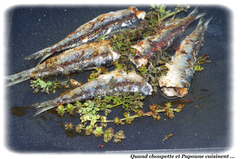 Sardines et crevettes à la plancha-5638