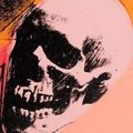 Skull, d'Andy Warhol (1976). Sérigraphie et polimerie sur toile (38 x 48 cm). Courtesy Loïc Malle. lepoint.fr © Jean Alex Brunelle / The Andy Warhol Foundation for the Visuals Arts, Inc. /A.A.S Paris