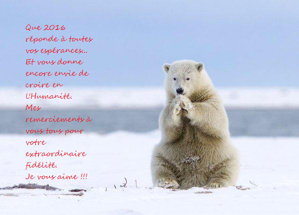 Voeux 2016