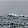 DSC09579