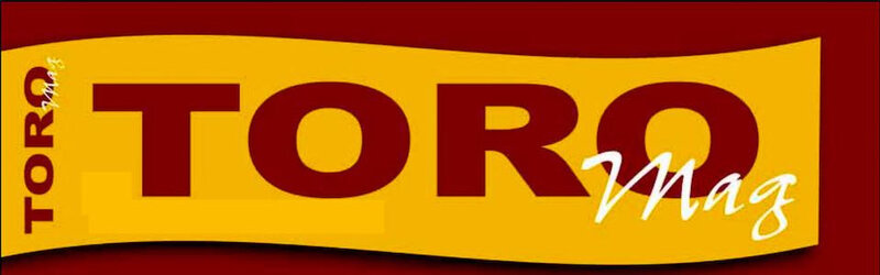 ToroMag