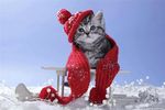 neige2