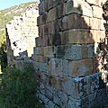 P1150989