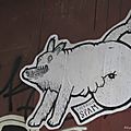 IMG_7834