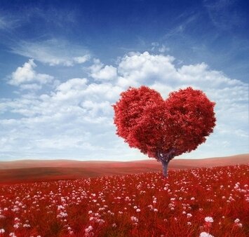 Bonjour Tous Les Messages Sur Bonjour Amour De Sms