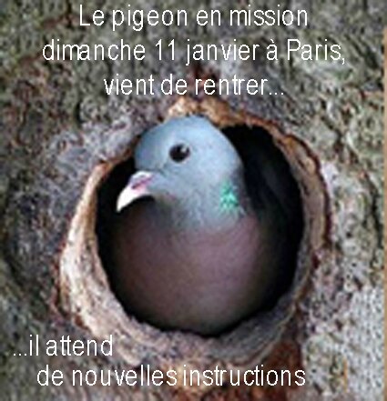 pigeonenmission