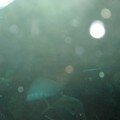 IMG_0933