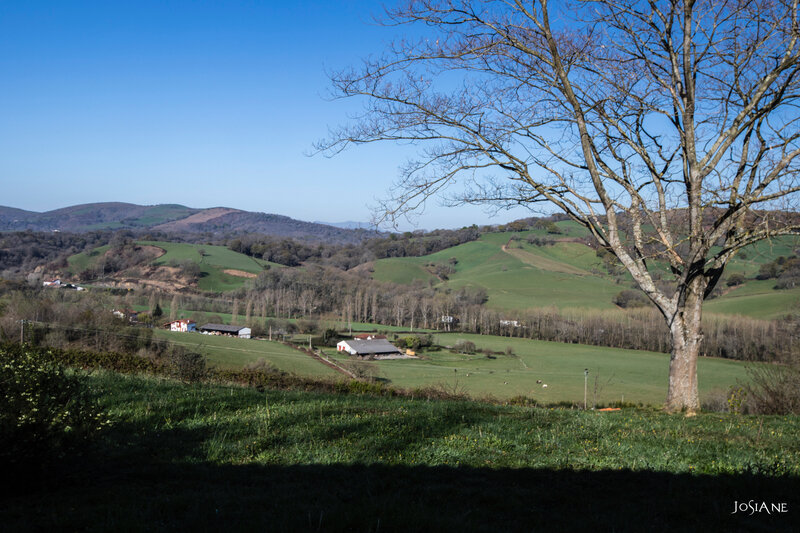21032019-_MG_5037
